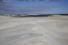 Sandboard at Lancelin Dunes
