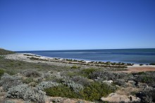 Scenic Lookout - Whalebone Bay