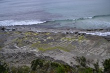 Tessellated Pavement - Tasman Peninsula
