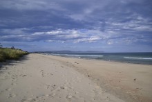 Neck Beach & Reserve - Bruny Island